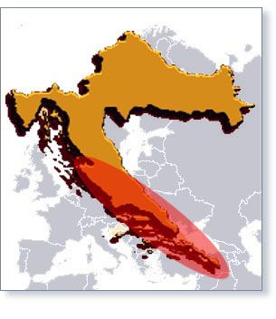 o_dalmatia.jpg